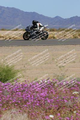 media/Mar-12-2023-SoCal Trackdays (Sun) [[d4c8249724]]/Turn 15 Inside Bloom (130pm)/